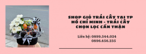Shop Giỏ Trái Cây Tại TP Hồ Chí Minh - Trái Cây Chọn Lọc
