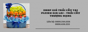 Shop Giỏ Trái Cây Tại Pleiku Gia Lai - Trái Cây Thượng Hạng