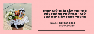 Shop Giỏ Trái Cây Tại Thủ Đức Thành Phố HCM - Giỏ Quà Đẹp Mắt