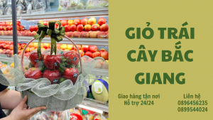 Giỏ Trái Cây Ở Bắc Giang-Giao Hàng Miễn Phí