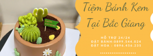 Tiệm Bánh Sinh Nhật Ở Bắc Giang - Giao Tận Nơi