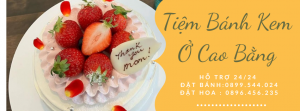 Tiệm Bánh Sinh Nhật Ở Cao Bằng - Giao Tận Nơi