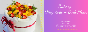 Bánh Sinh Nhật Đồng Xoài – Bình Phước – Tươi Ngon Mỗi Ngày