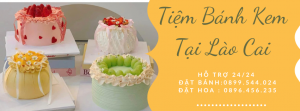 Tiệm Bánh Sinh Nhật Tại Lào Cai - Giao Tận Nơi