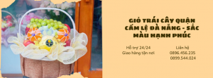 Giỏ Trái Cây Cẩm Lệ – Sắc Màu Hạnh Phúc