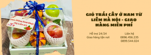 Giỏ Trái Cây Ở Nam Từ Liêm Hà Nội - Giao Hàng Miễn Phí