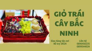 Giỏ Trái Cây Ở Bắc Ninh-Freeship