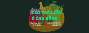 Giỏ Trái Cây Ở Cao Bằng - FreeShip