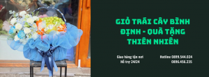 Giỏ Trái Cây Bình Định - Quà Tặng Thiên Nhiên