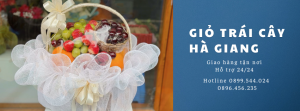 Giỏ Trái Cây Nhập Khẩu Ở Hà Giang - Giao Tận Nơi