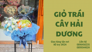 Giỏ Trái Cây Ở Hải Dương-Freeship