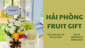 Hải Phòng Fruit Gift-Giỏ Trái Cây Độc Đáo, Sang Trọng