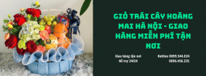 Giỏ Trái Cây Hoàng Mai Hà Nội - Giao Hàng Miễn Phí Tận Nơi
