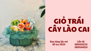 Giỏ Trái Cây Ở Lào Cai-Freeship