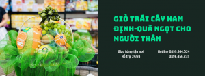 Giỏ Trái Cây Nam Định-Quà Ngọt Cho Người Thân