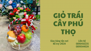 Giỏ Trái Cây Ở Phú Thọ-Miễn Phí Giao Hàng