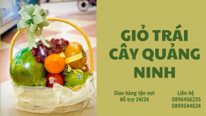 Giỏ Trái Cây Tại Quảng Ninh-Miễn Phí Ship