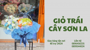 Giỏ Trái Cây Ở Sơn La - Freeship