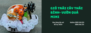 Giỏ Trái Cây Thái Bình- Vườn Quả Mini