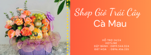 Giỏ Trái Cây Cà Mau – Tươi Ngon Mỗi Ngày