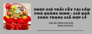 Shop Giỏ Trái Cây Tại Cẩm Phả Quảng Ninh - Giỏ Quà Sang Trọng