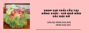 Shop Giỏ Trái Cây Tại Đồng Xoài - Giỏ Quà Màu Sắc Rực Rỡ