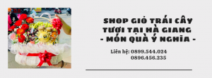 Shop Giỏ Trái Cây Tươi Tại Hà Giang - Món Quà Ý Nghĩa