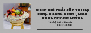 Shop Giỏ Trái Cây Tại Hạ Long Quảng Ninh - Giao Hàng Nhanh Chóng