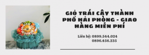 Giỏ Trái Cây Thành Phố Hải Phòng - Giao Hàng Miễn Phí