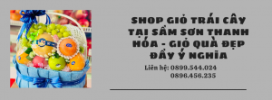 Shop Giỏ Trái Cây Tại Sầm Sơn Thanh Hóa - Giỏ Quà Đẹp Ý Nghĩa