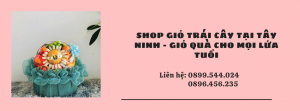 Shop Giỏ Trái Cây Tại Tây Ninh - Giỏ Quà Cho Mọi Lứa Tuổi
