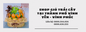 Shop Giỏ Trái Cây Tại Thành Phố Vĩnh Yên - Vĩnh Phúc