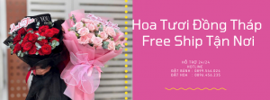 Tiệm Hoa Tươi Đồng Tháp – Hoa Đẹp FreeShip
