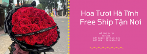 Tiệm Hoa Tươi Hà Tĩnh – FreeShip