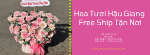 Shop Hoa Tươi Tại Hậu Giang - Giao Nhanh