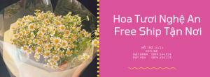 Tiệm Hoa Tươi Nghệ An – Hoa Đẹp Giao Tận Nơi