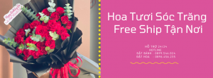 Tiệm Hoa Tươi Sóc Trăng – Hoa Đẹp Giao Tận Nơi