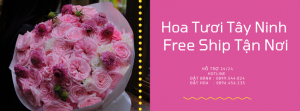 Tiệm Hoa Tươi Tây Ninh – FreeShip