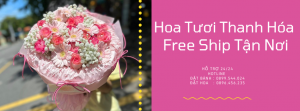 Tiệm Hoa Tươi Thanh Hóa – Giao Tận Nơi